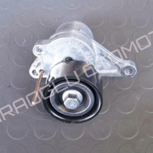 Renault Master Alternatör Kayışı Gergisi 117500965R 117500969R